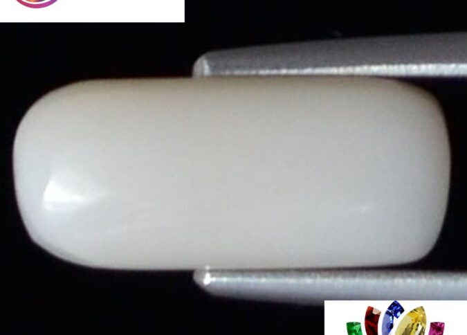 WC111 1 e1680679615494 White Coral 3.22 Ct.