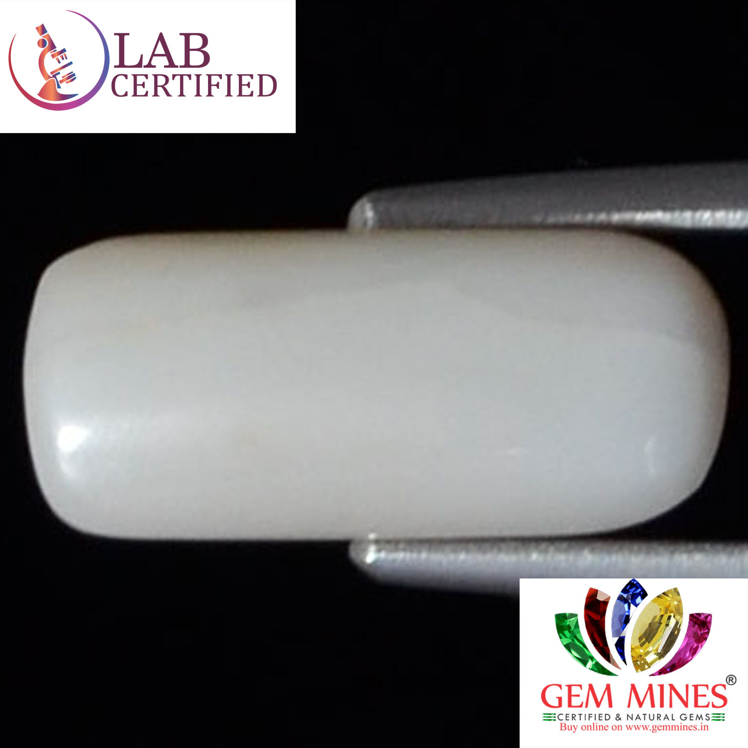 WC111 2 White Coral 3.22 Ct.