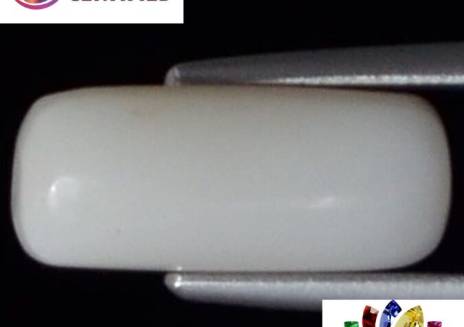 WC112 1 e1680679613246 White Coral 3.31 Ct.