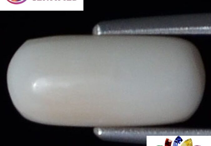 WC115 1 e1680679950709 White Coral 2.76 Ct.