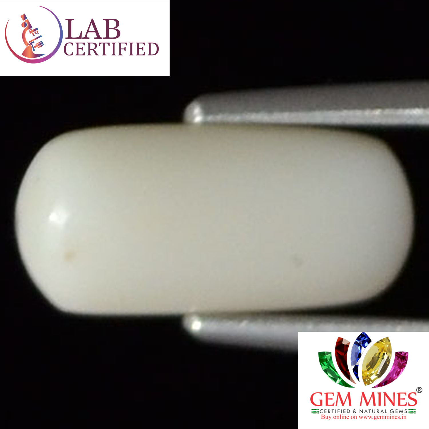 WC115 2 White Coral 2.76 Ct.