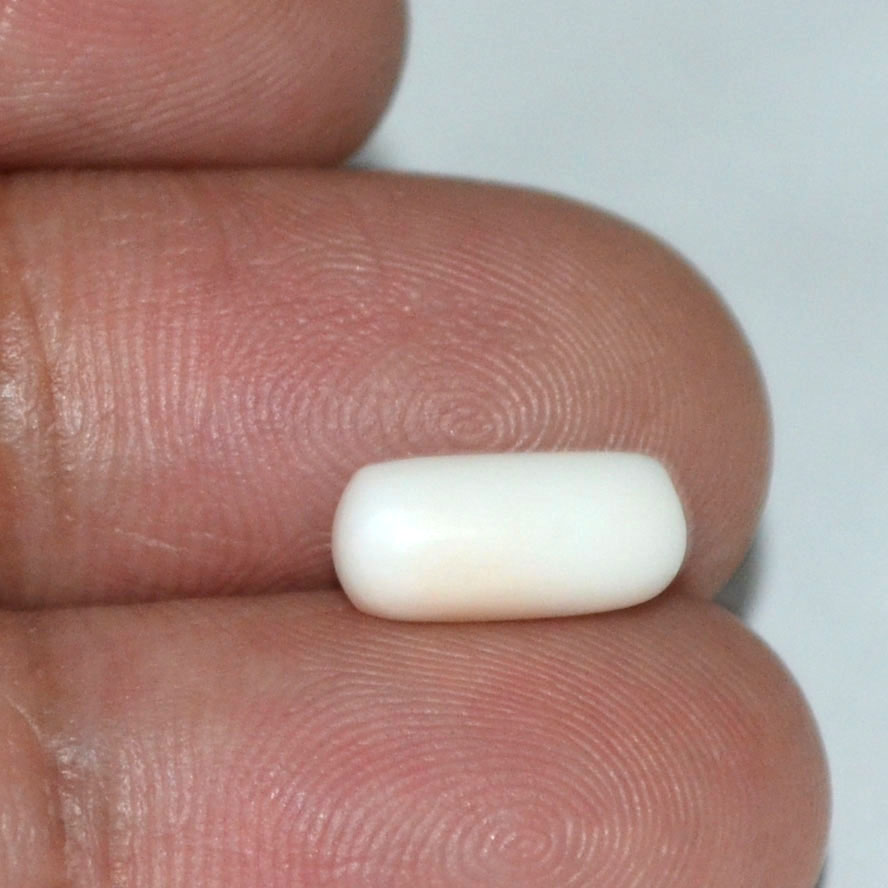 WC115 3 White Coral 2.76 Ct.