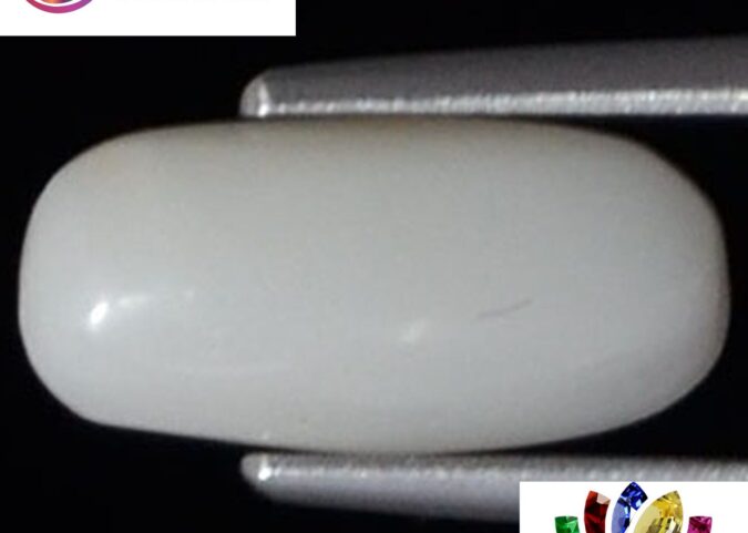 WC116 1 e1680679621135 White Coral 1.68 Ct.
