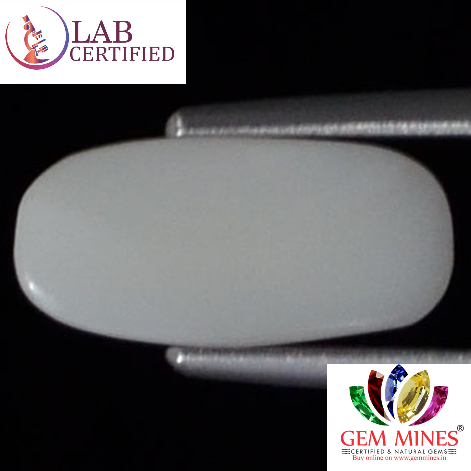 WC116 2 White Coral 1.68 Ct.