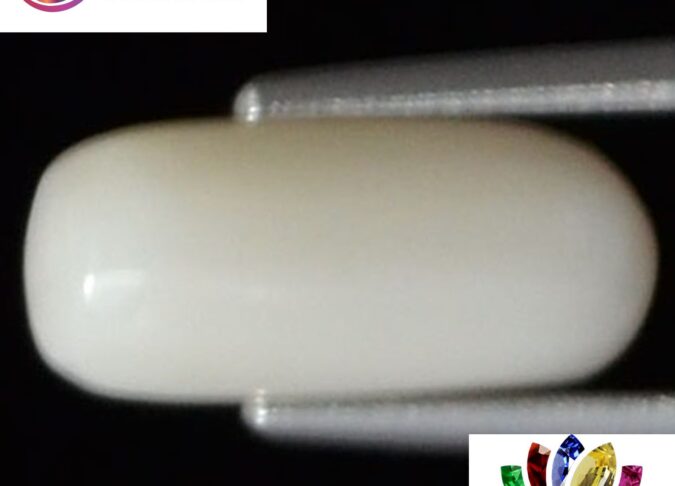 WC117 1 e1680679619153 White Coral 2.48 Ct.
