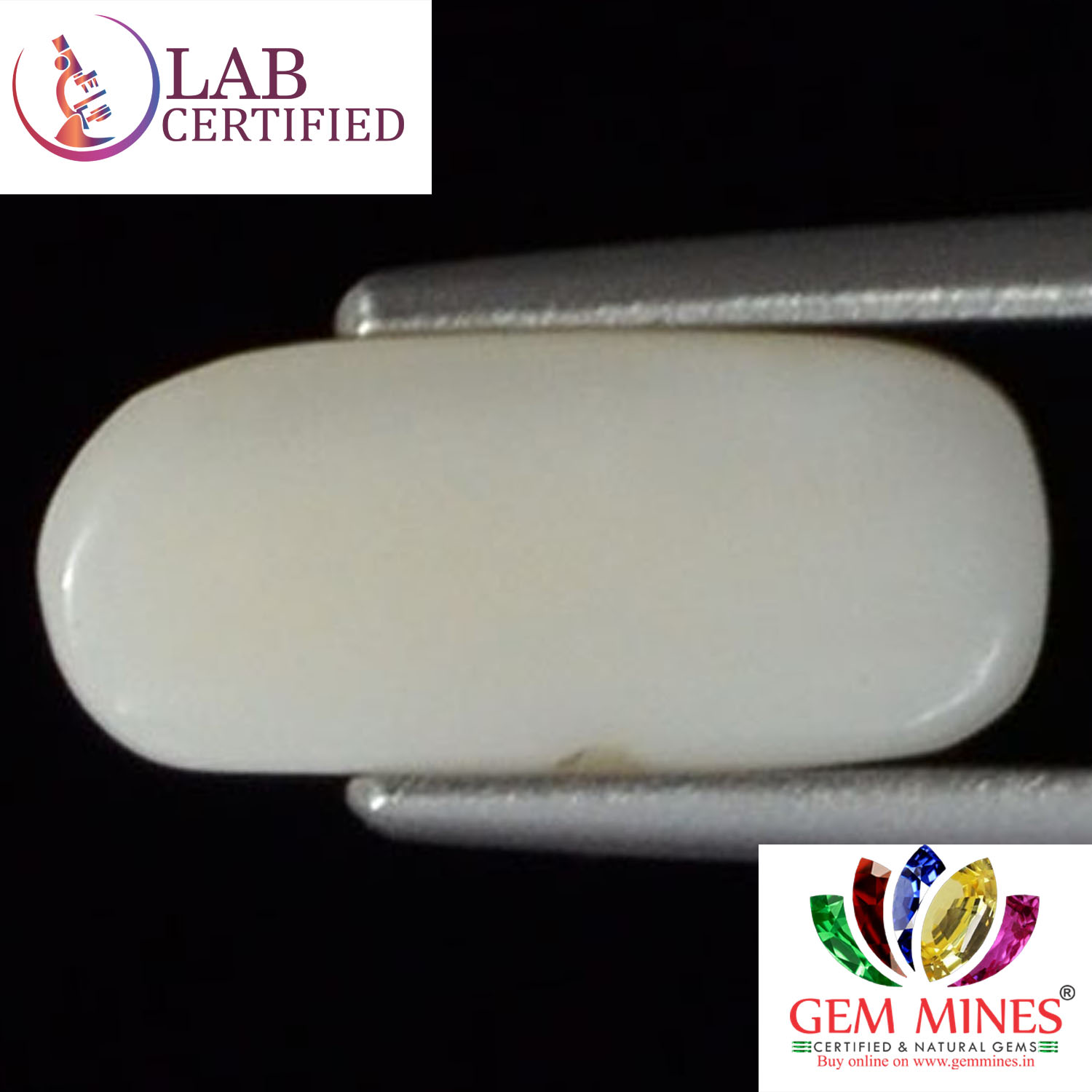WC117 2 White Coral 2.48 Ct.
