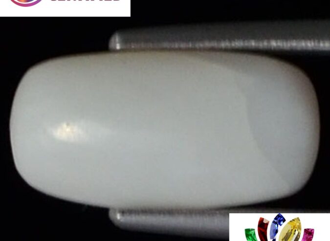 WC118 1 e1680679614403 White Coral 3.03 Ct.