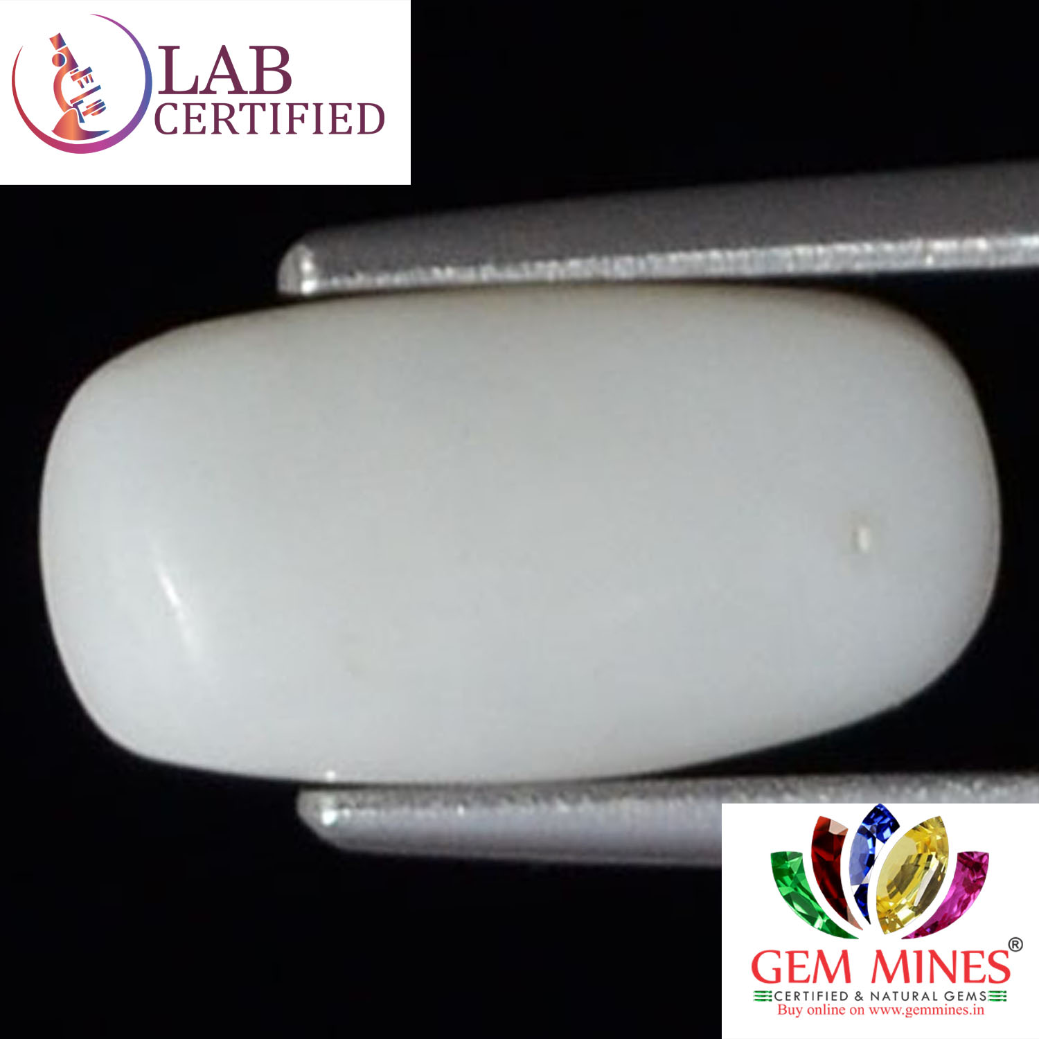 WC118 2 White Coral 3.03 Ct.