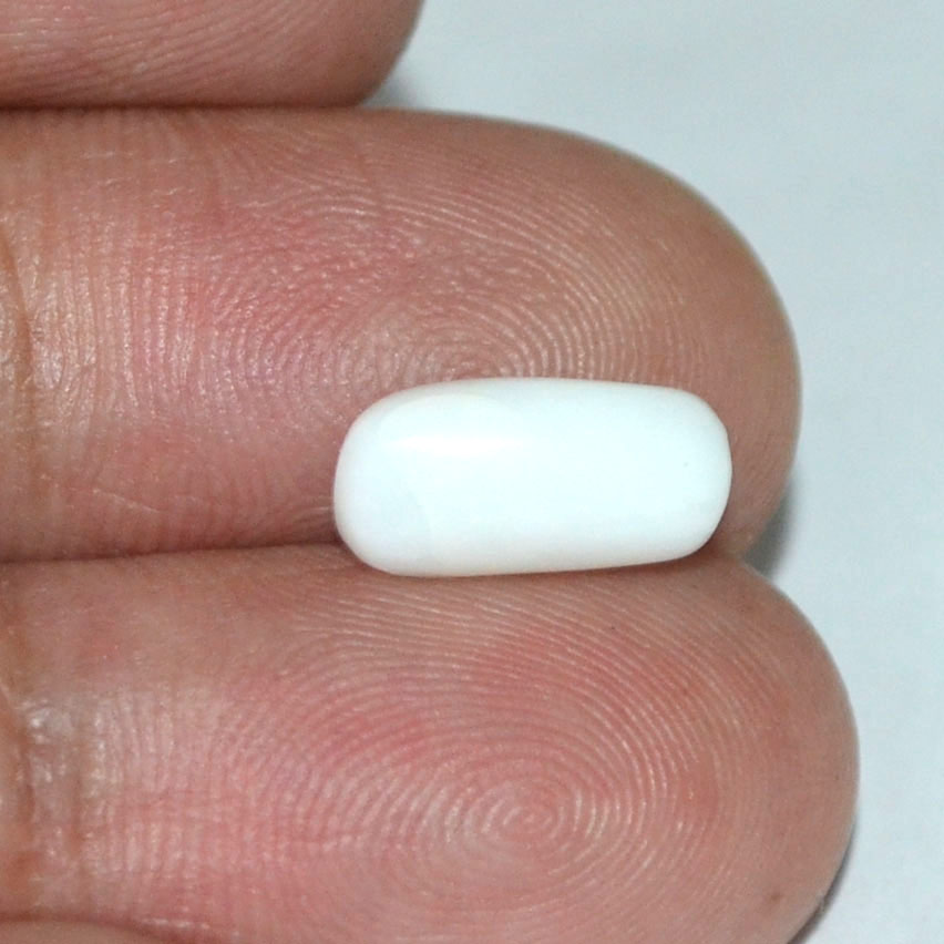 WC118 3 White Coral 3.03 Ct.