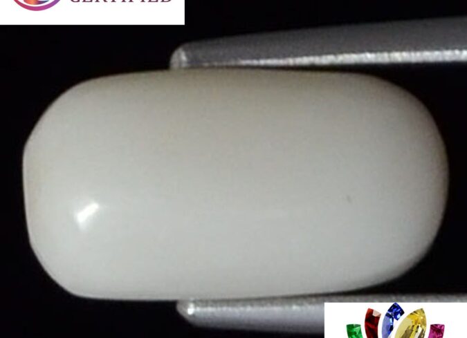 WC119 1 e1680679959526 White Coral 3.86 Ct.