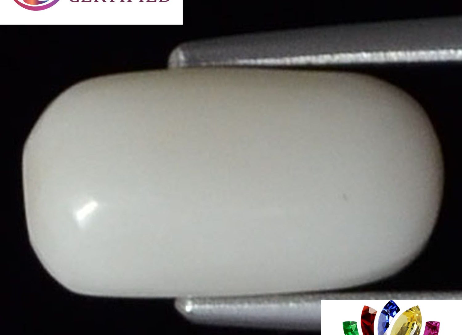 White Coral 3.86 Ct.