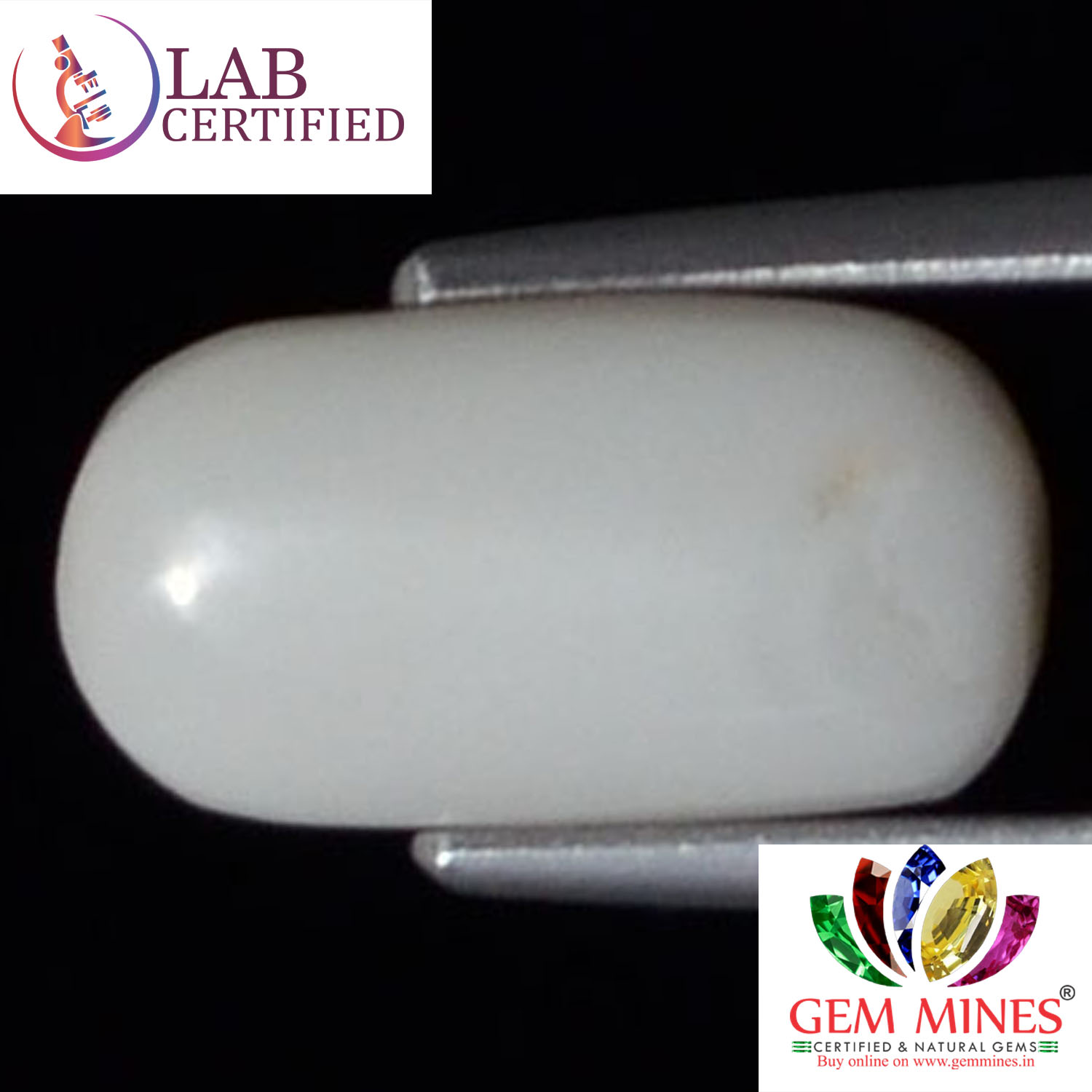 WC119 2 White Coral 3.86 Ct.