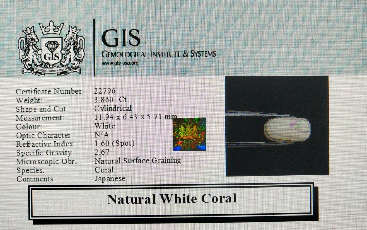 WC119 4 White Coral 3.86 Ct.