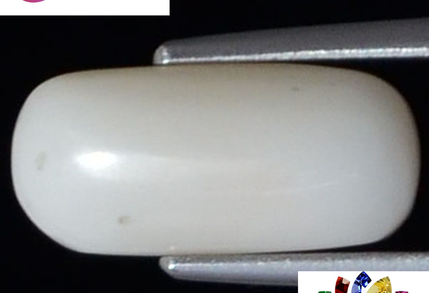 White Coral 4.14 Ct.