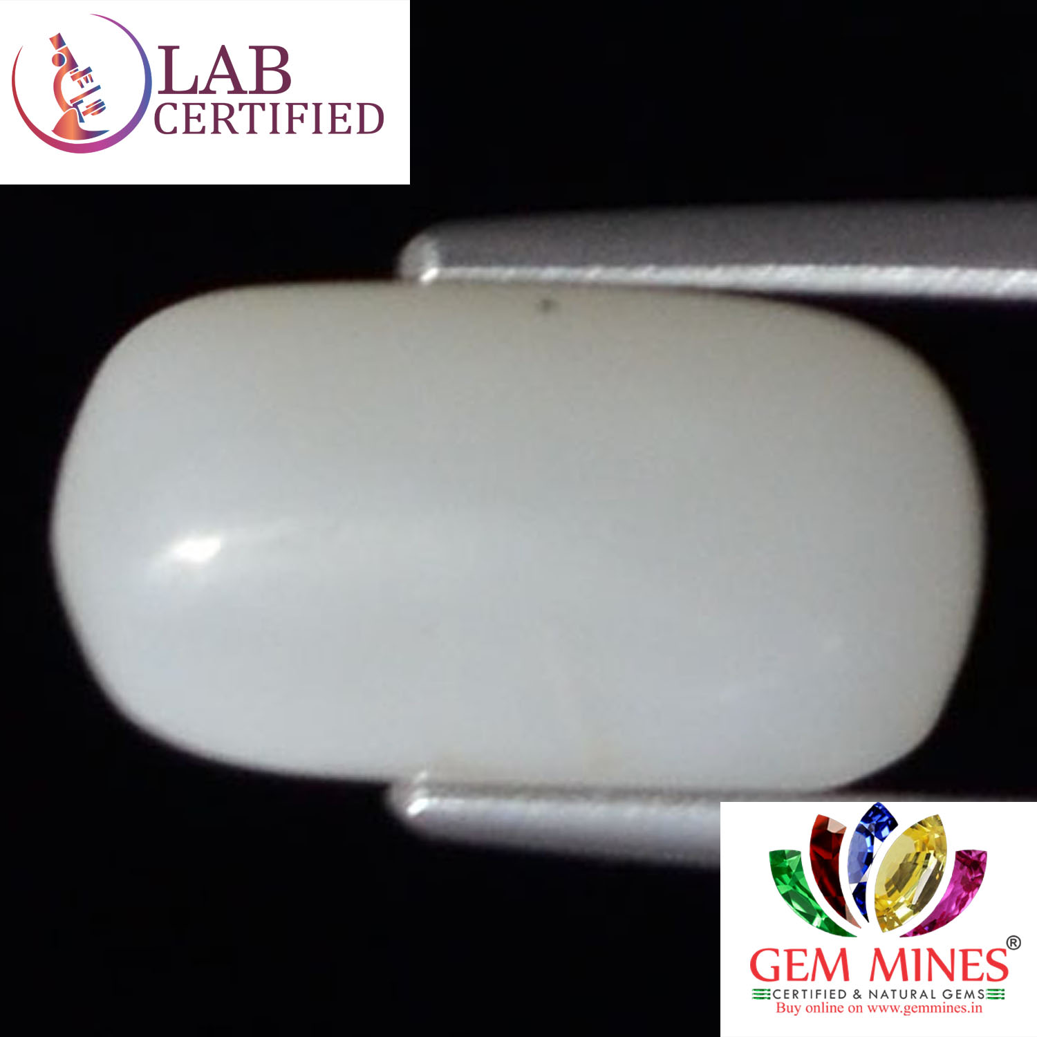 White Coral 3.96 Ct. 3 WC121 2 White Coral 3.96 Ct.