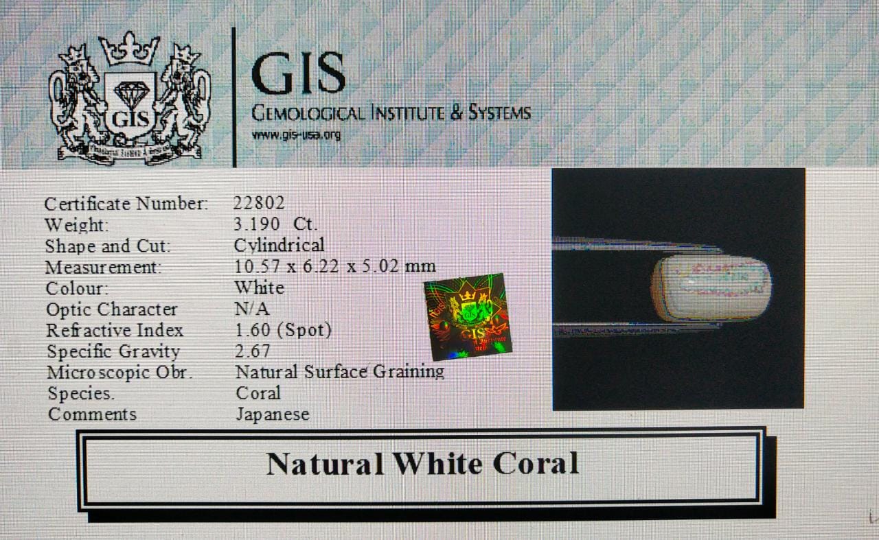 White Coral 3.19 Ct.