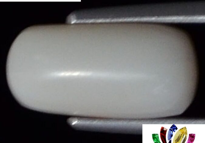White Coral 3.6 Ct. 1 WC127 1 e1680680258714 White Coral 3.6 Ct.