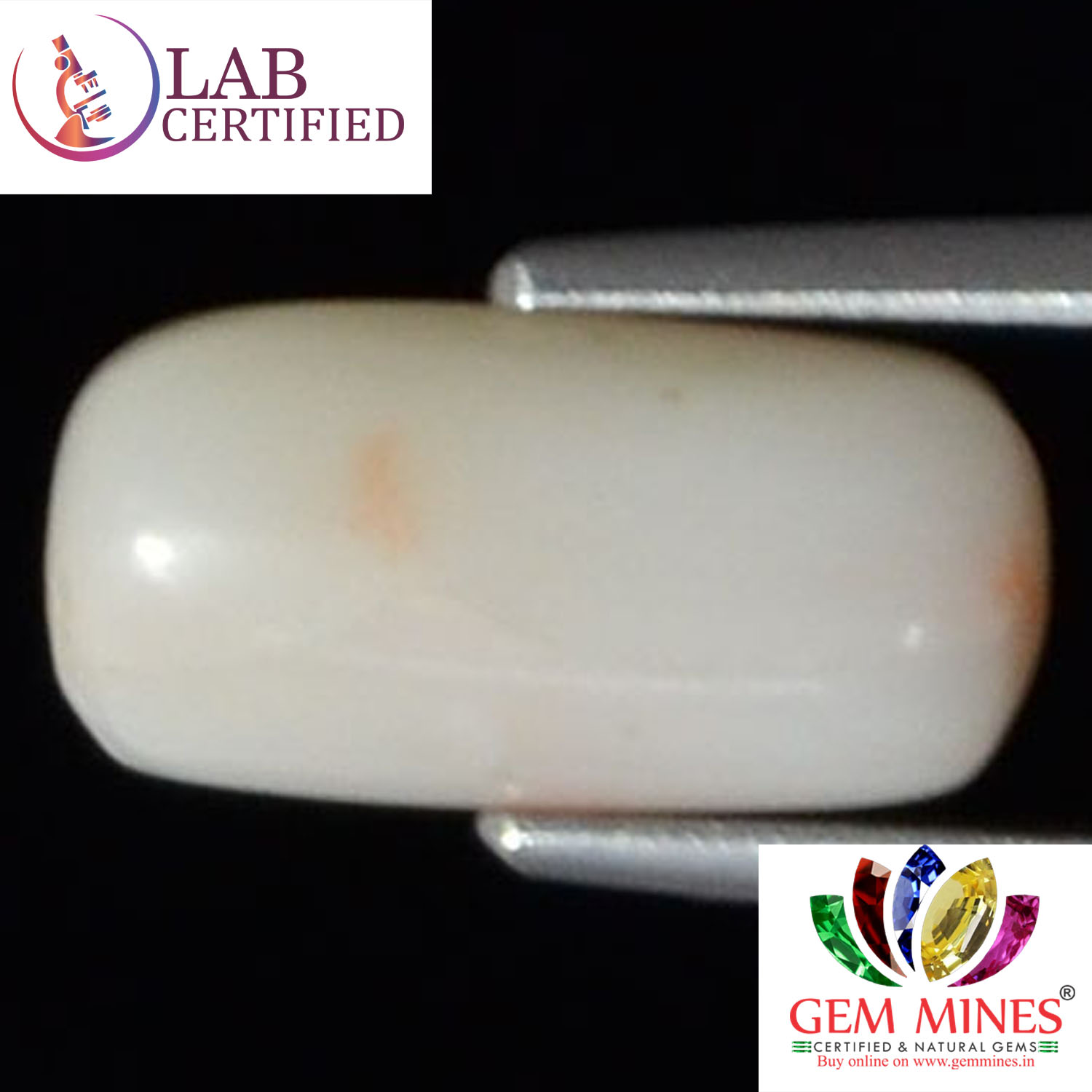 White Coral 3.6 Ct. 3 WC127 2 White Coral 3.6 Ct.