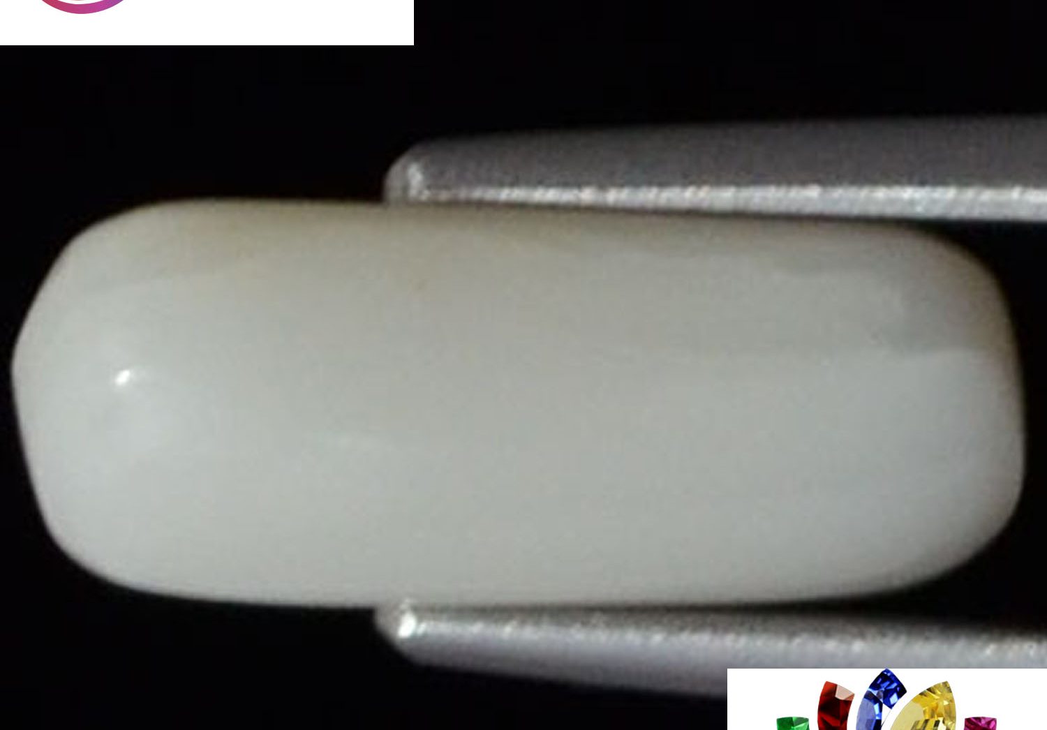 White Coral 3.11 Ct.