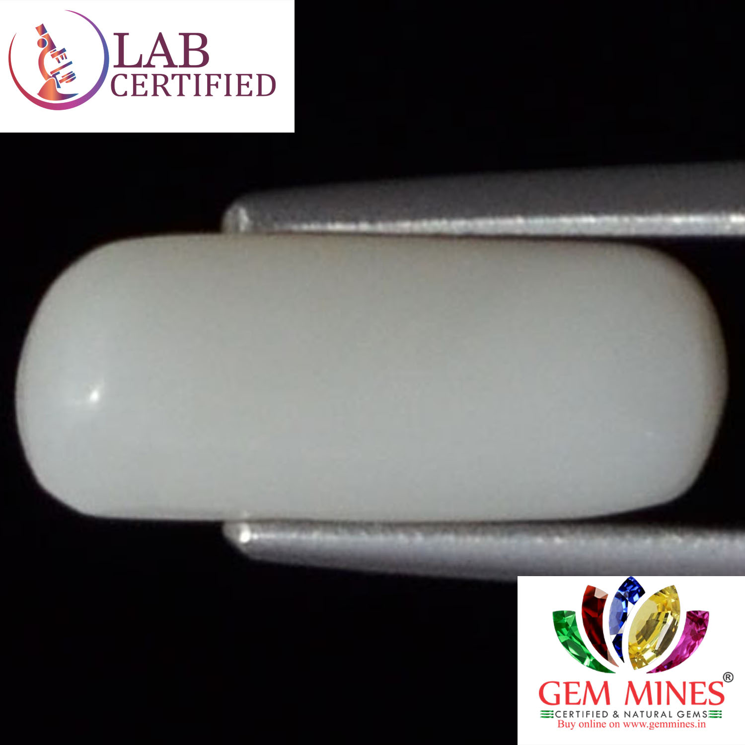 White Coral 3.11 Ct. 3 WC128 2 White Coral 3.11 Ct.