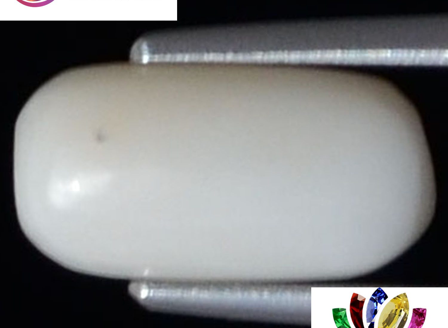 White Coral 2.97 Ct.