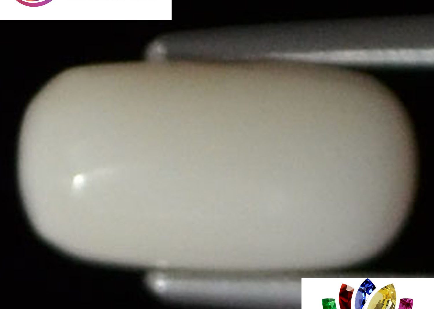 White Coral 2.42 Ct.