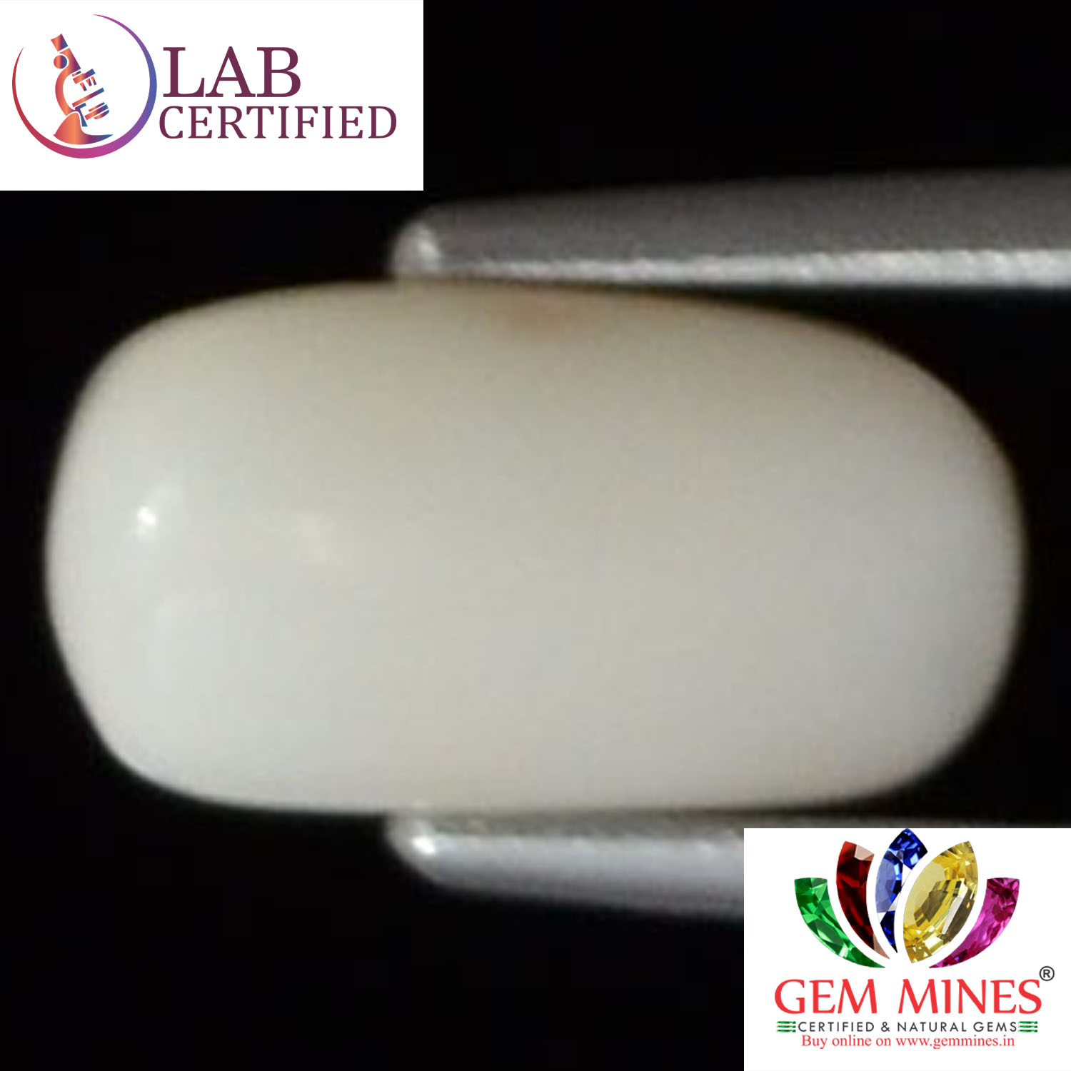 White Coral 2.42 Ct. 3 WC130 2 White Coral 2.42 Ct.