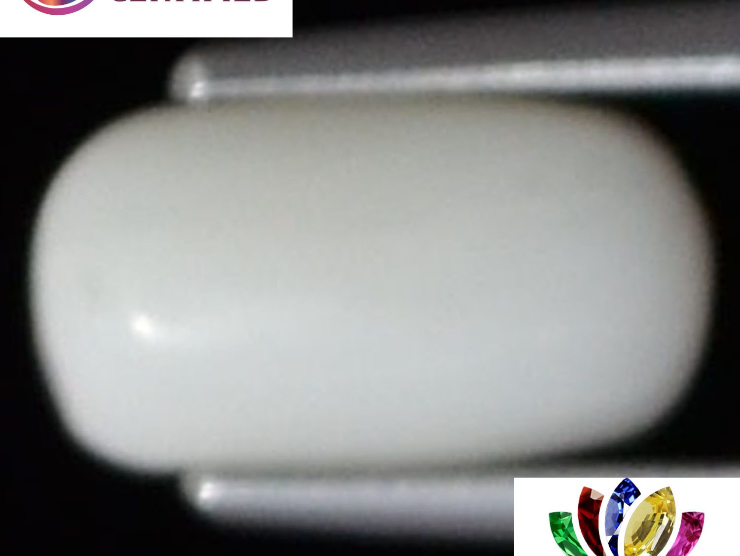 White Coral 2.22 Ct.