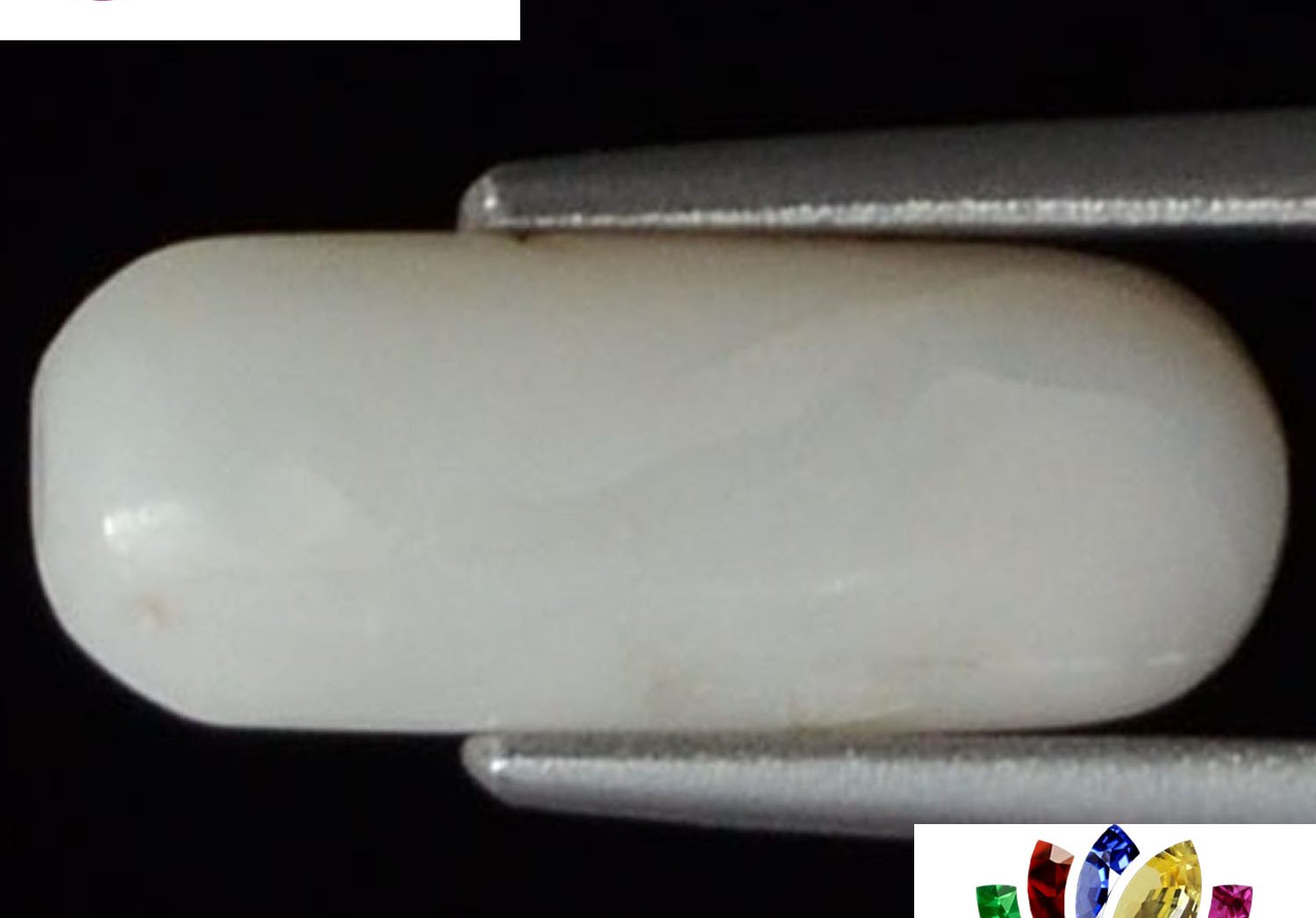 White Coral 2.38 Ct.