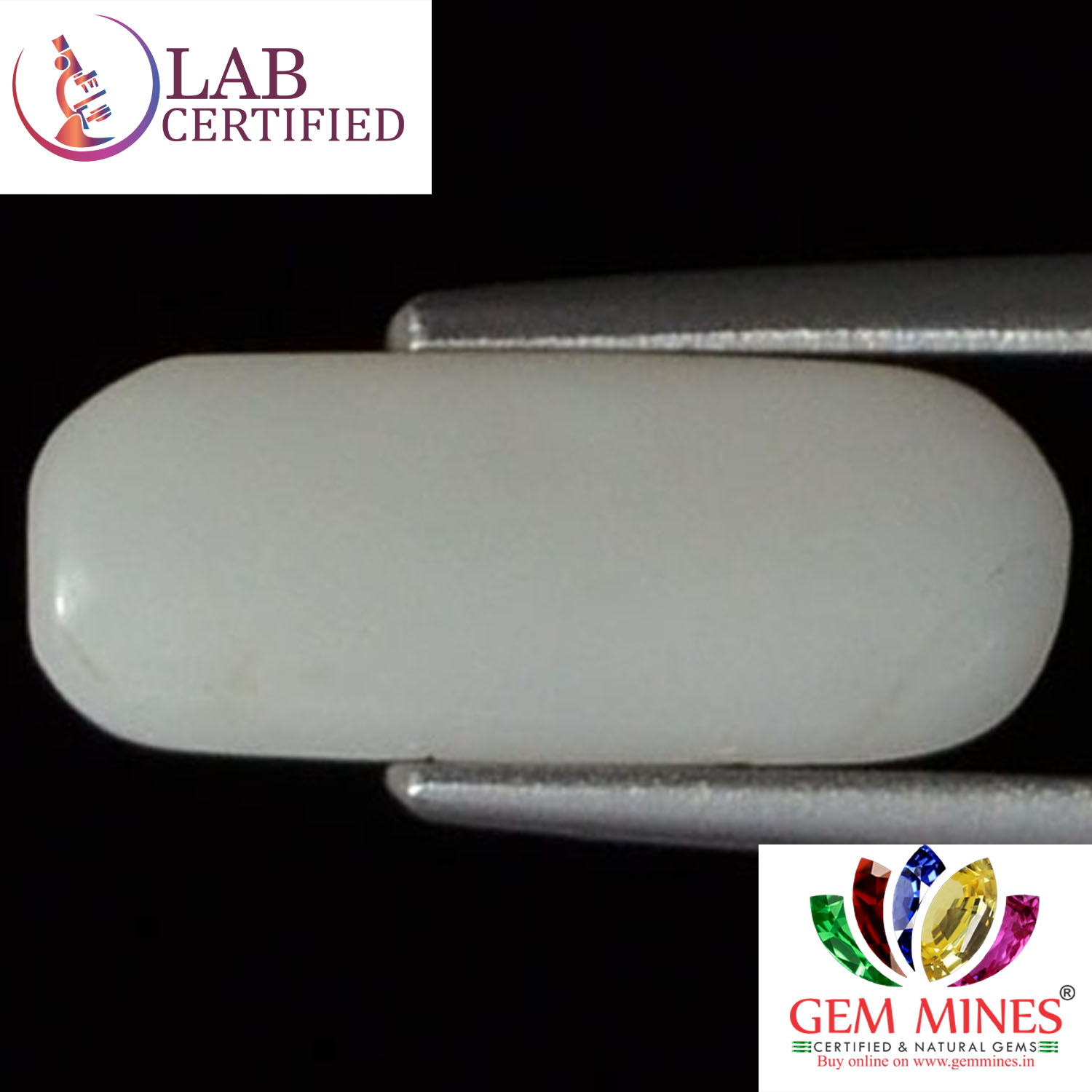 WC135 2 White Coral 2.38 Ct.