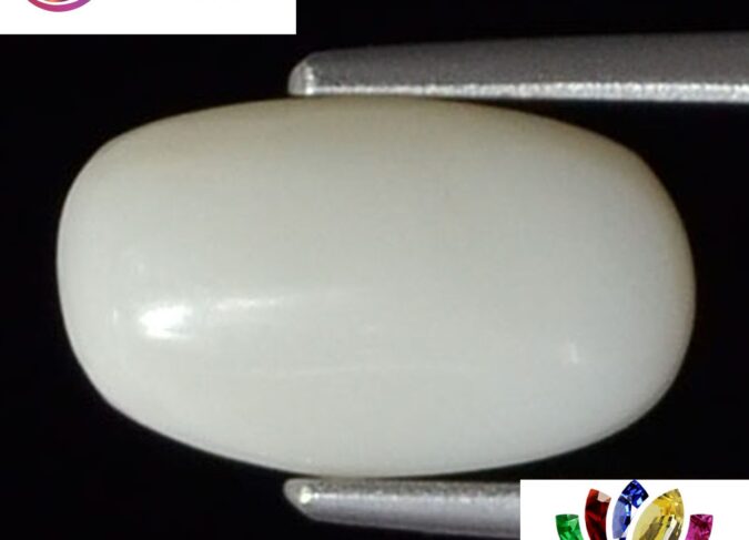 WC136 1 e1680680546145 White Coral 2.53 Ct.