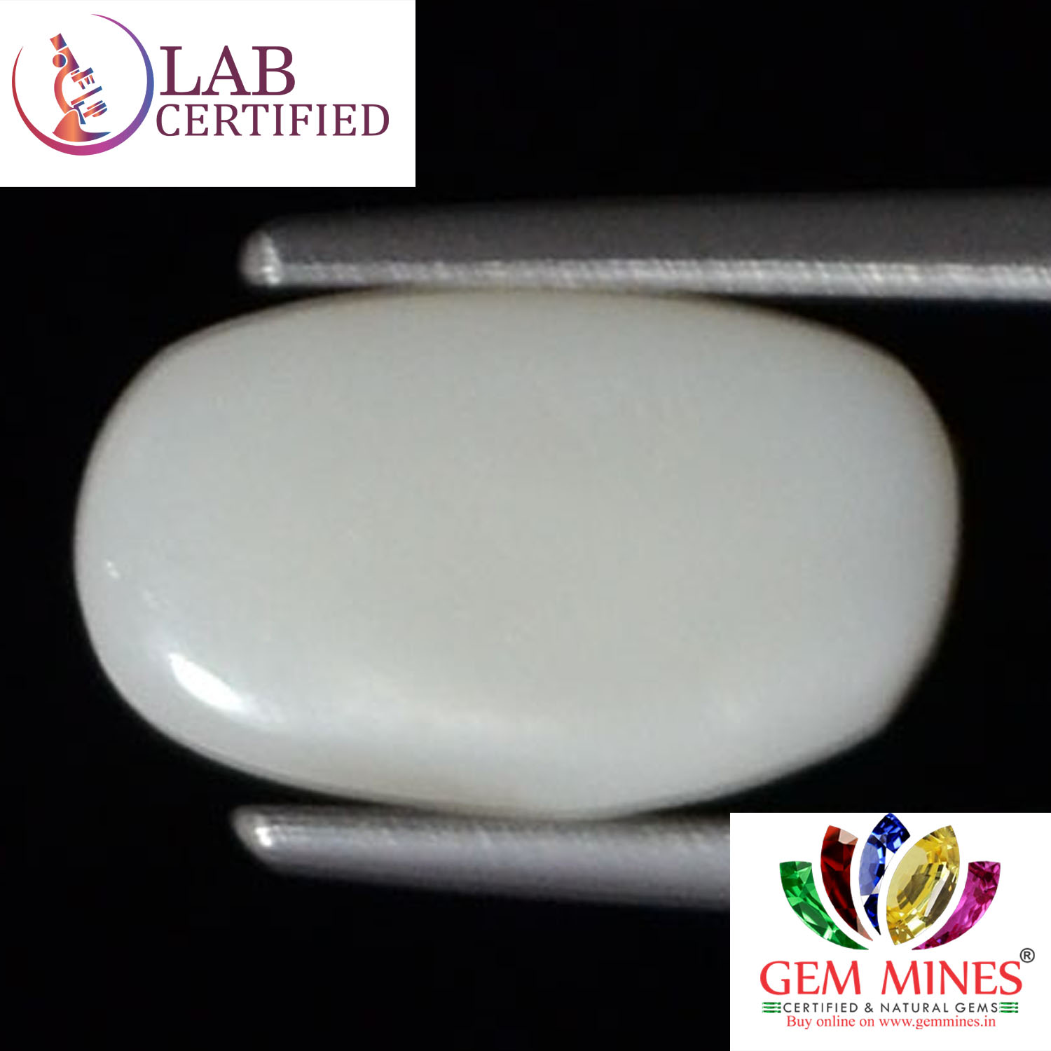 WC136 2 White Coral 2.53 Ct.