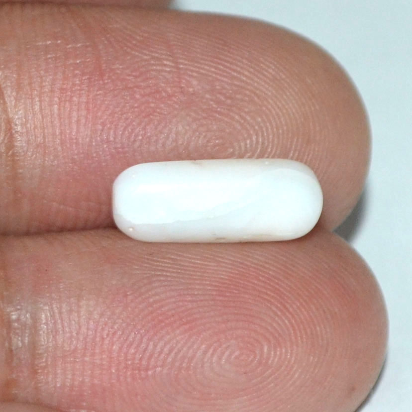 WC136 3 White Coral 2.53 Ct.