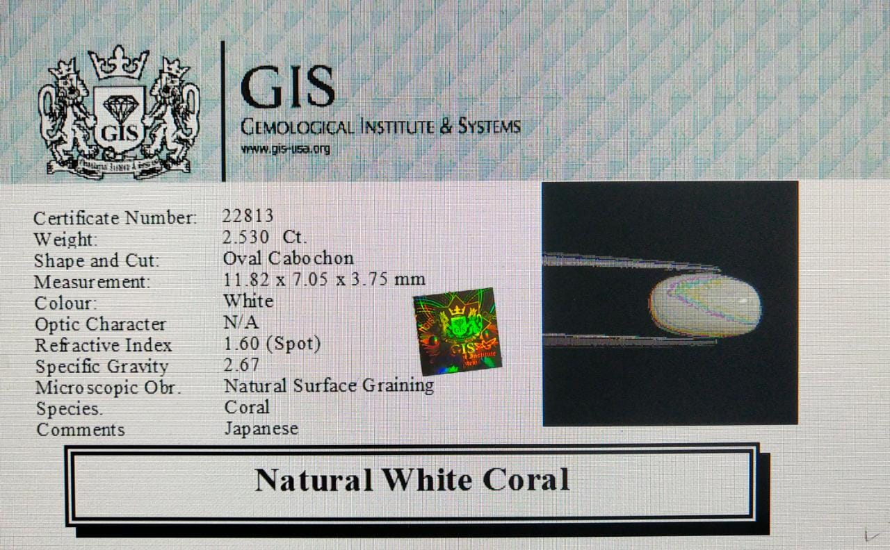 WC136 4 White Coral 2.53 Ct.