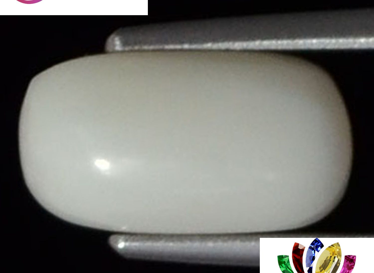 White Coral 2.73 Ct.