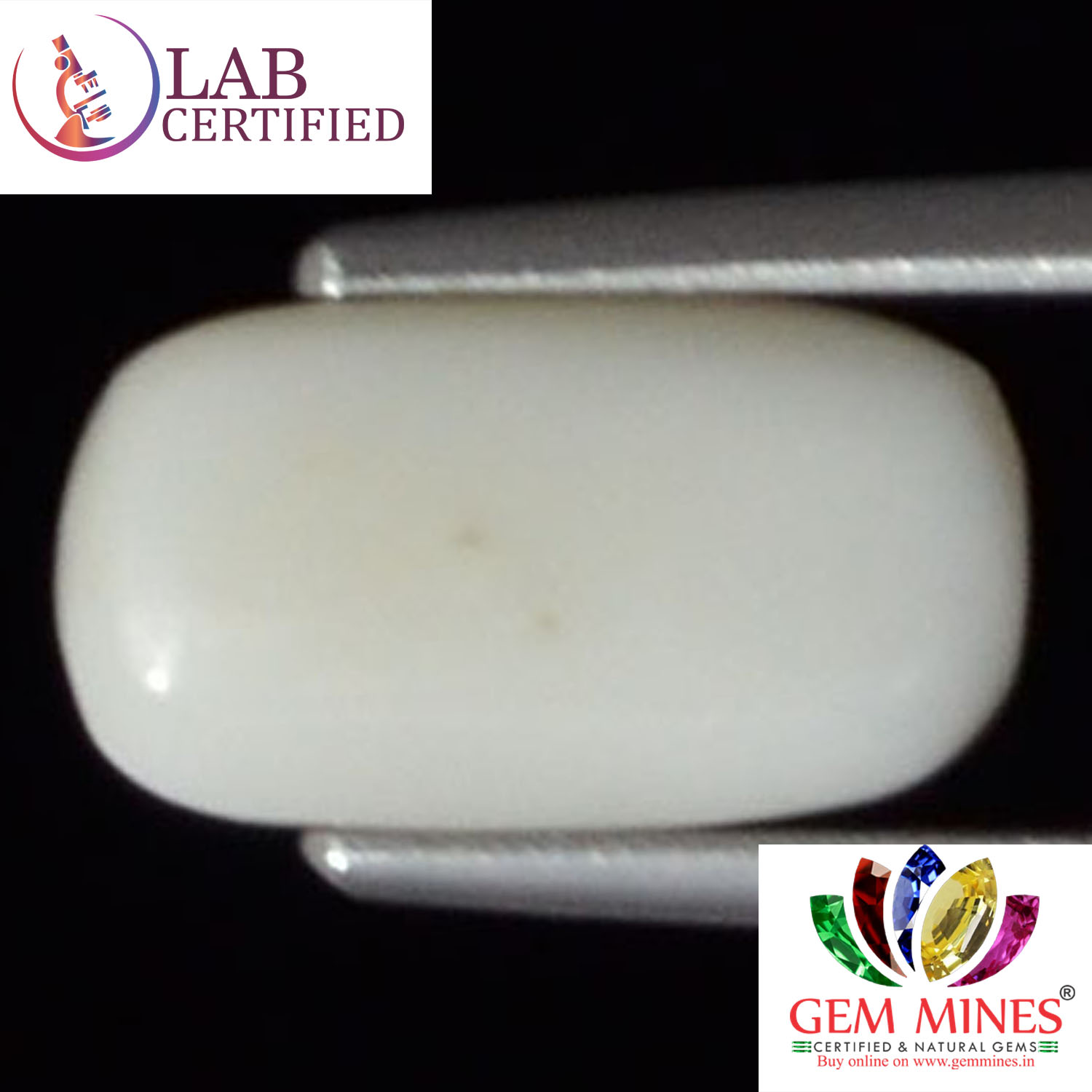 WC137 2 White Coral 2.73 Ct.