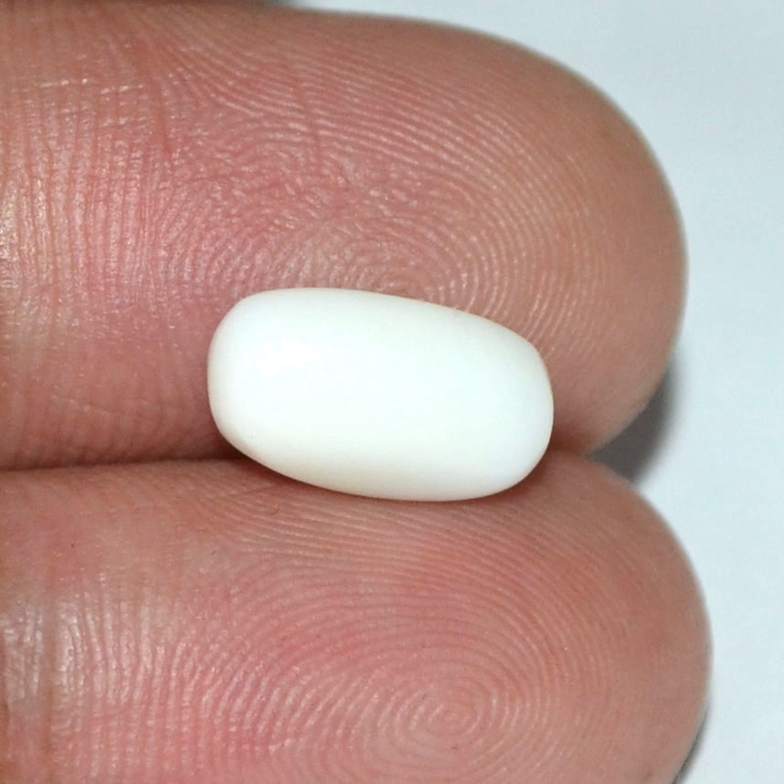 WC137 3 White Coral 2.73 Ct.