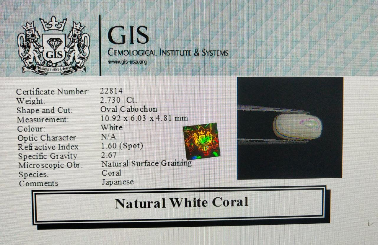 WC137 4 White Coral 2.73 Ct.