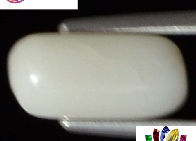 WC139 1 e1680680841878 White Coral 2.14 Ct.