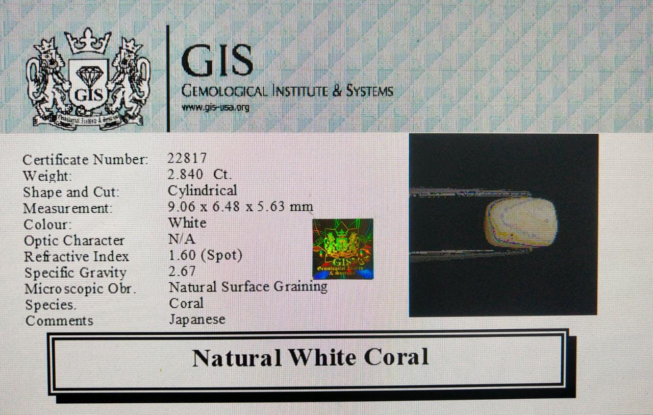 White Coral 2.84 Ct.