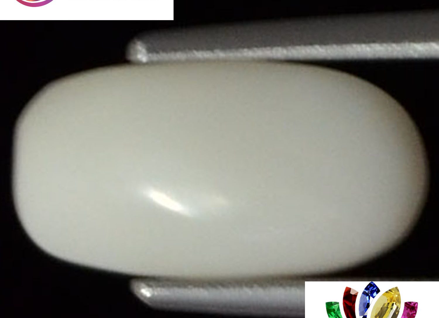 White Coral 2.63 Ct.