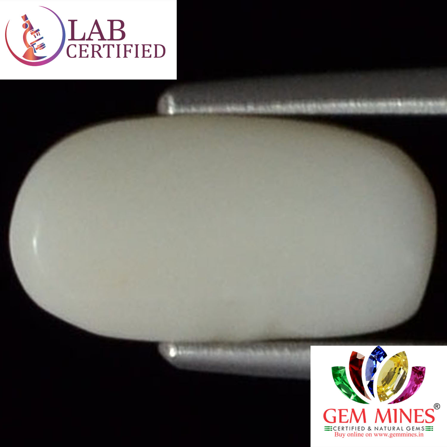 WC141 2 White Coral 2.63 Ct.