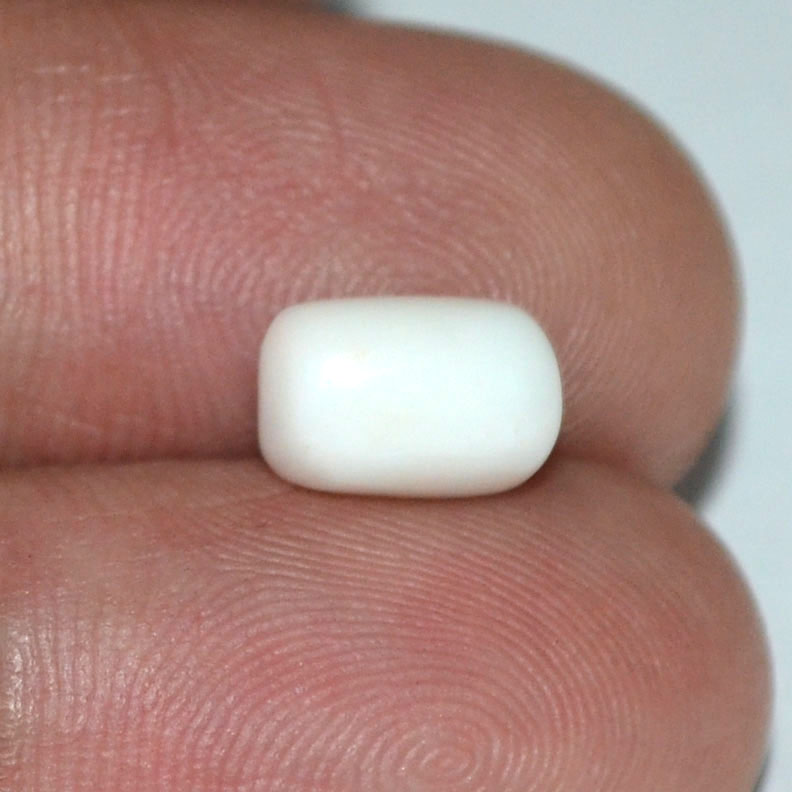 WC141 3 White Coral 2.63 Ct.