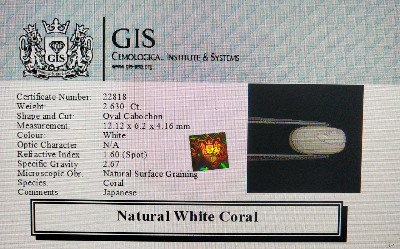 WC141 4 White Coral 2.63 Ct.