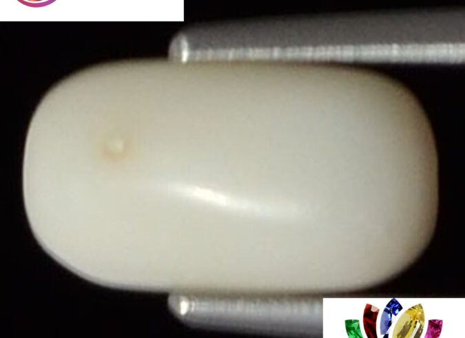 WC142 1 e1680681149767 White Coral 2.53 Ct.