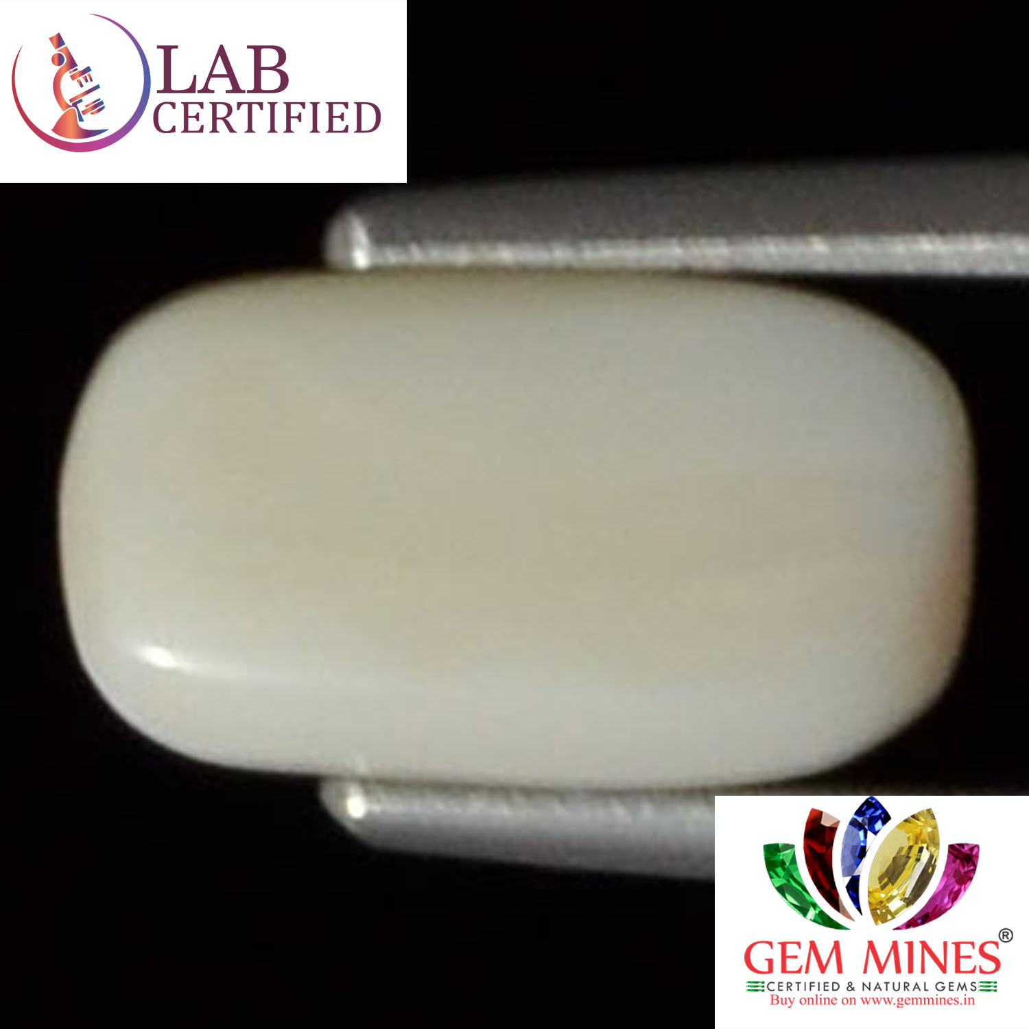 WC142 2 White Coral 2.53 Ct.