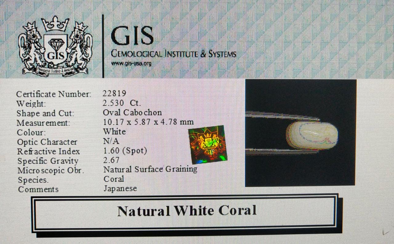 WC142 4 White Coral 2.53 Ct.