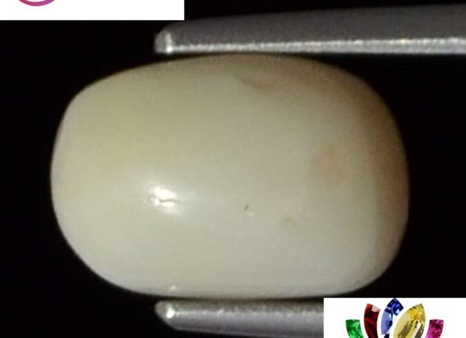 WC143 1 e1680681147740 White Coral 2.5 Ct.