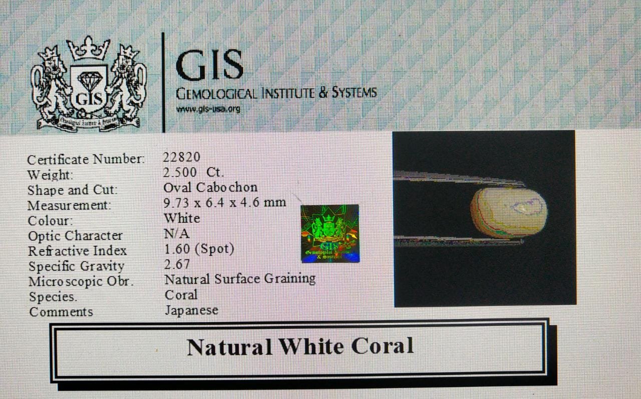 WC143 4 White Coral 2.5 Ct.