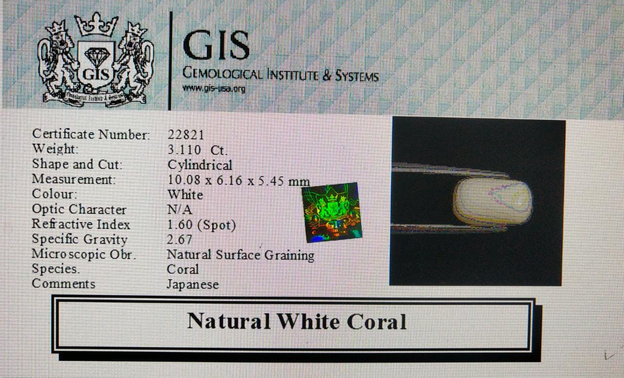 White Coral 3.11 Ct.